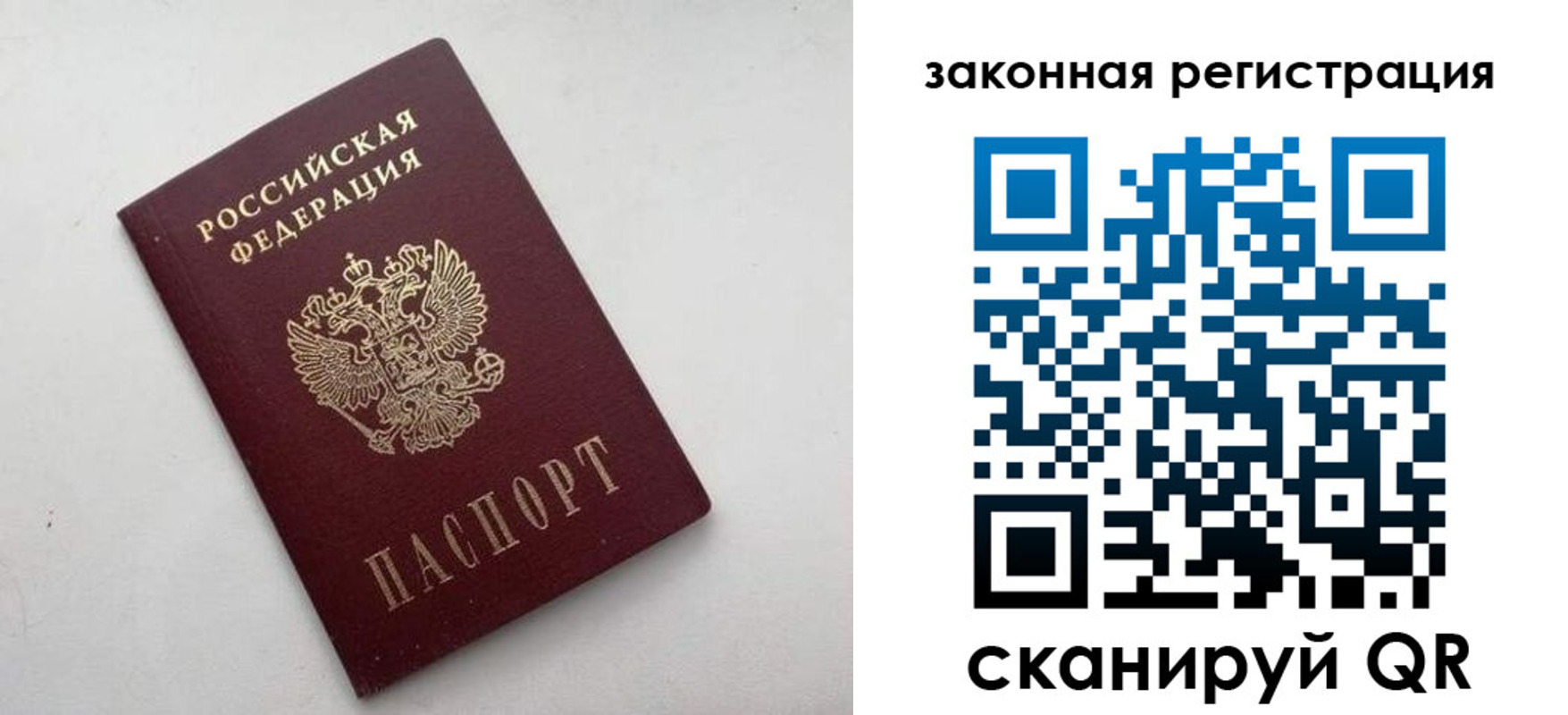 прописка 2025 в Кургане